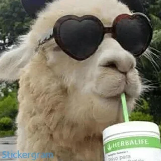 Стикер Ярый • @sticbot - 6