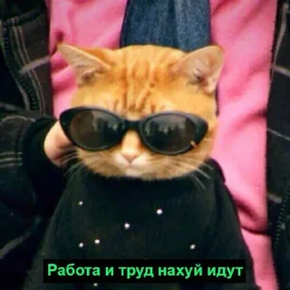 Стикер Ярый • @sticbot - 2