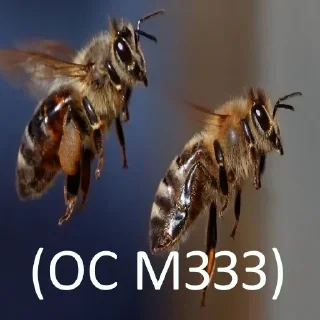 Sticker МзОсники - 5