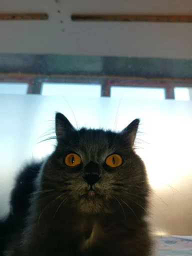 Стикер N5H1P3_by_EmojiRuBot - 1