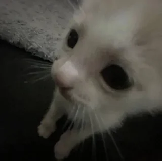 Sticker Создать стикеры|@EmojiRuBot - 6