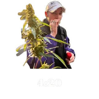 Sticker N9neliv3s 2024 🐲 - 9