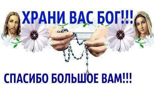 СМС цветок плакат