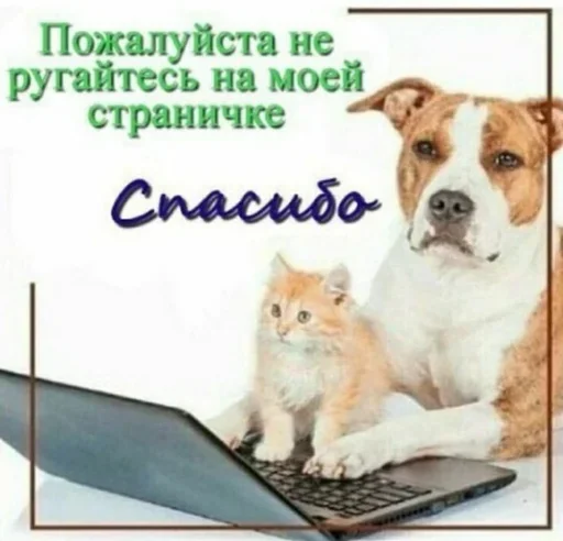 СМС домашнее животное порода собак