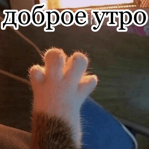 Стикер NASCUKA - 9