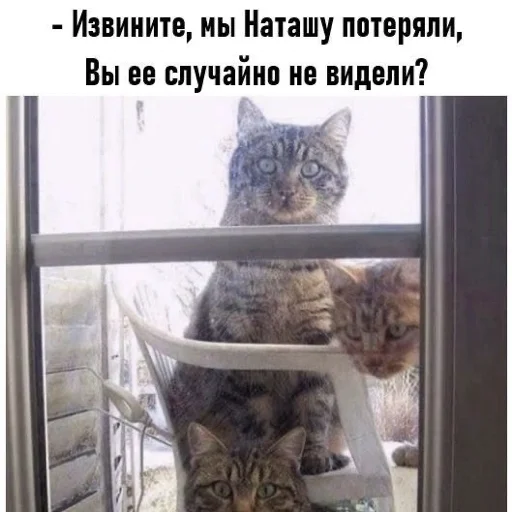 Sticker NATASHEOTVIKUNDELYA - 1