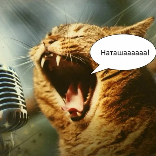 Sticker NATASHEOTVIKUNDELYA - 1