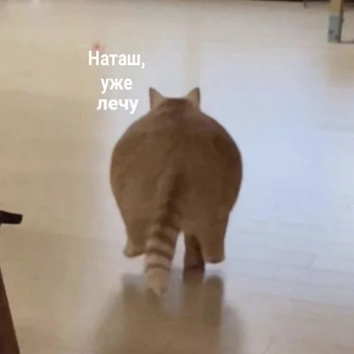 Sticker NATASHEOTVIKUNDELYA - 1