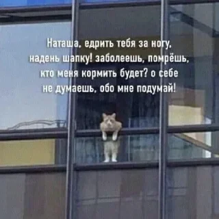 Sticker НАТАШЕ ОТ ВИКУНДЕЛЯ - 5