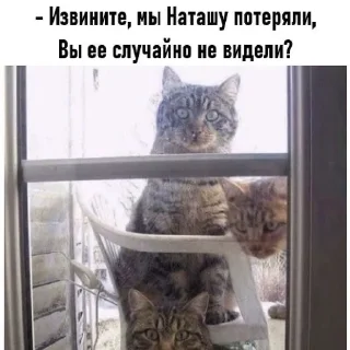 Sticker НАТАШЕ ОТ ВИКУНДЕЛЯ - 8