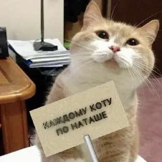 Sticker НАТАШЕ ОТ ВИКУНДЕЛЯ - 2