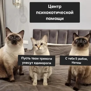 Sticker НАТАШЕ ОТ ВИКУНДЕЛЯ - 11