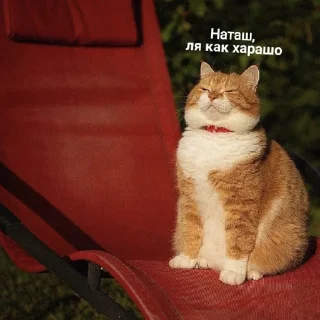 Sticker НАТАШЕ ОТ ВИКУНДЕЛЯ - 10