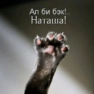 Sticker НАТАШЕ ОТ ВИКУНДЕЛЯ - 9