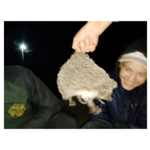 Sticker NAYNAYNAYYYY - 1