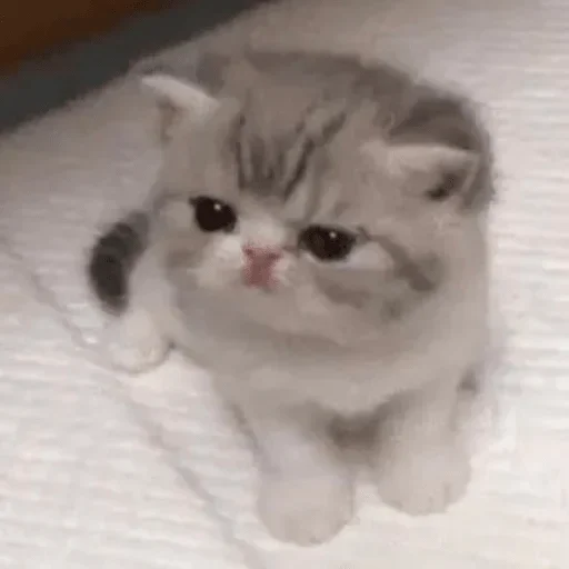 Sticker Стики 9746 из @Anonymnyi_chat_bot - 11