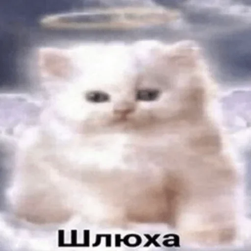 Sticker Стики 9746 из @Anonymnyi_chat_bot - 10