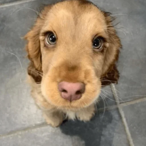 Sticker Стики 9746 из @Anonymnyi_chat_bot - 6