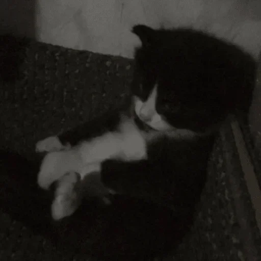 Sticker Стики 9746 из @Anonymnyi_chat_bot - 2