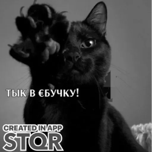 Sticker Lol by @stqrapp - 10