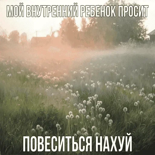 Sticker NEADSLhseDCX_by_stickers_stealer_bot - 1