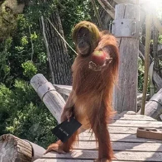 Стикер @sticksbb <— больше стиков💓💘💞 - 2