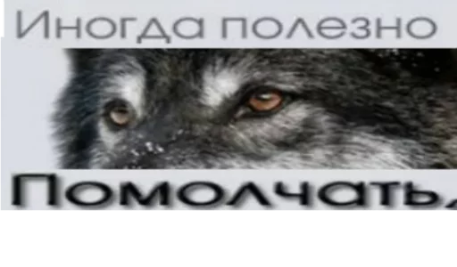 животное млекопитающее СМС