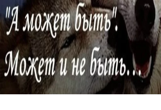 СМС млекопитающее животное