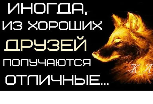 СМС животное собака