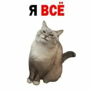 Sticker Больше стиков тут: @stikery4 - 2