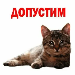Sticker Больше стиков тут: @stikery4 - 6