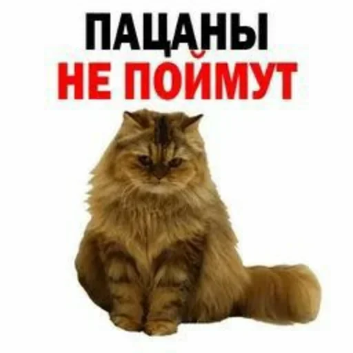 Sticker NFMBDYSMSC_by_stikeri_stikeri_bot - 1