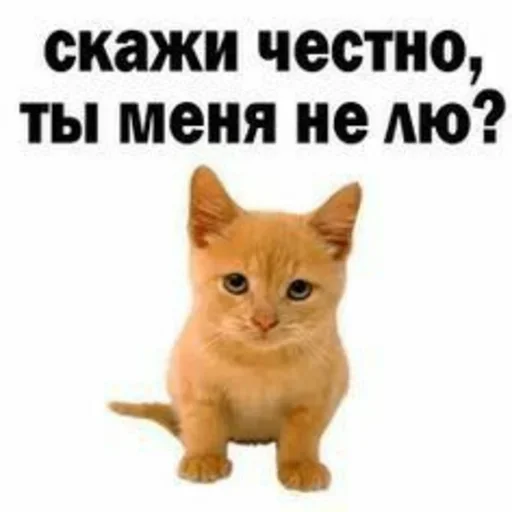 Sticker NFMBDYSMSC_by_stikeri_stikeri_bot - 1