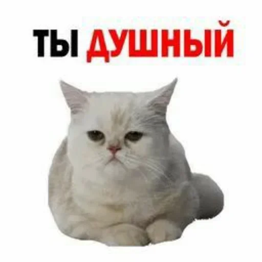 Sticker NFMBDYSMSC_by_stikeri_stikeri_bot - 1