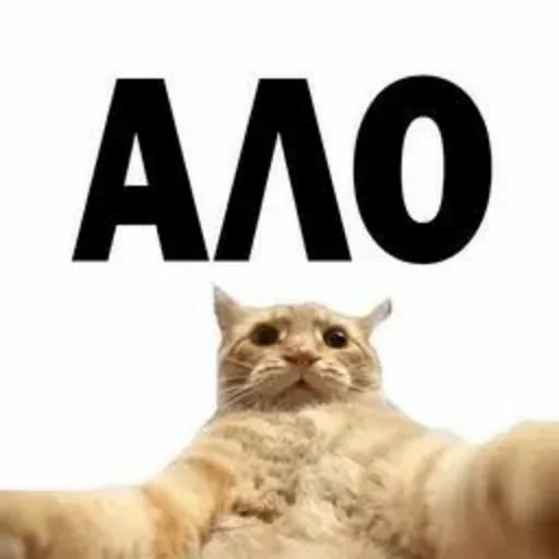 Sticker NFMBDYSMSC_by_stikeri_stikeri_bot - 1