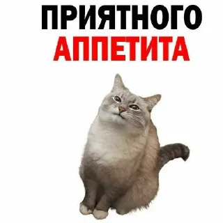 Sticker Больше стиков тут: @stikery4 - 3