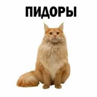 Sticker Больше стиков тут: @stikery4 - 11