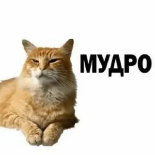 Sticker Больше стиков тут: @stikery4 - 5