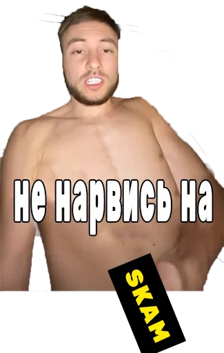 Sticker NFT Expert - 8