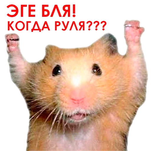 Sticker @NHmedBot - бот продаж - 11