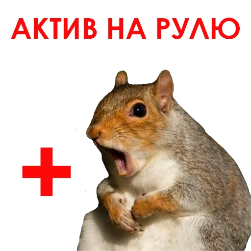 Sticker @NHmedBot - бот продаж - 10