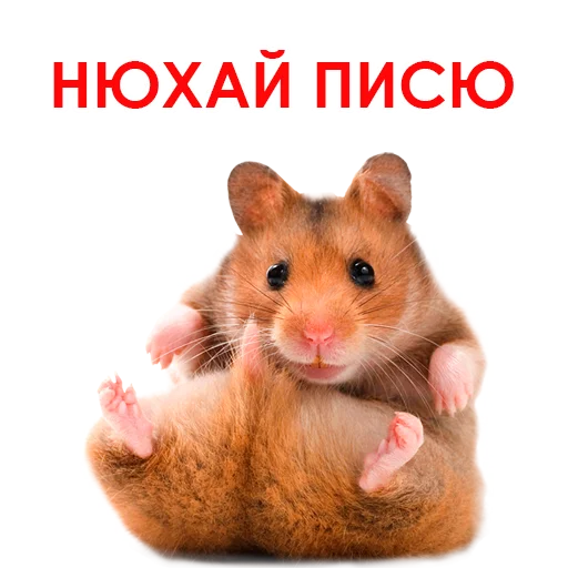 Sticker @NHmedBot - бот продаж - 8