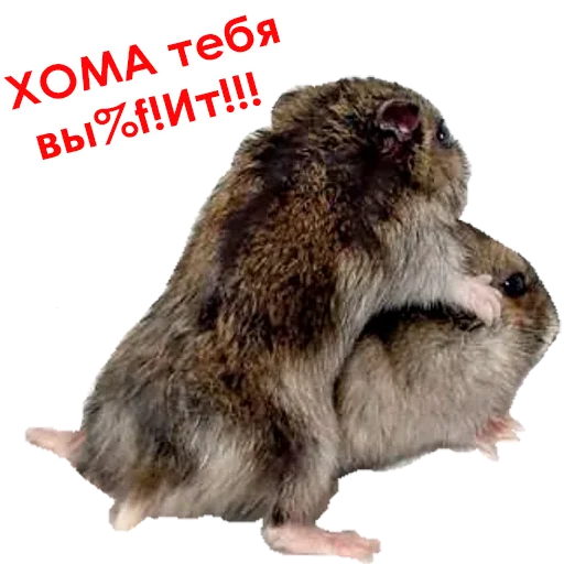 Sticker @NHmedBot - бот продаж - 5