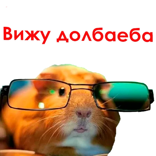 Sticker @NHmedBot - бот продаж - 4