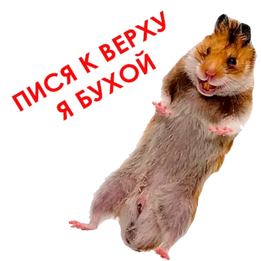 Sticker @NHmedBot - бот продаж - 2