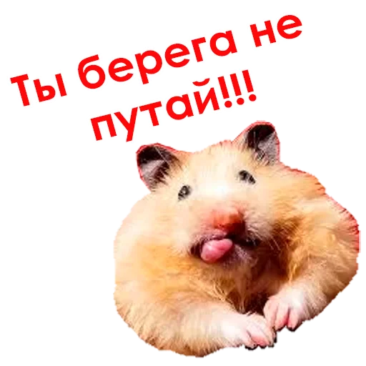 Sticker @NHmedBot - бот продаж - 1