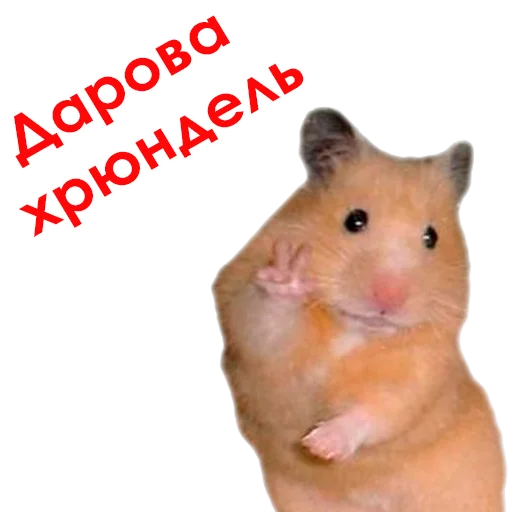 @NHmedBot - бот продаж - 