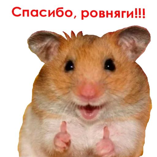 Sticker @NHmedBot - бот продаж - 0