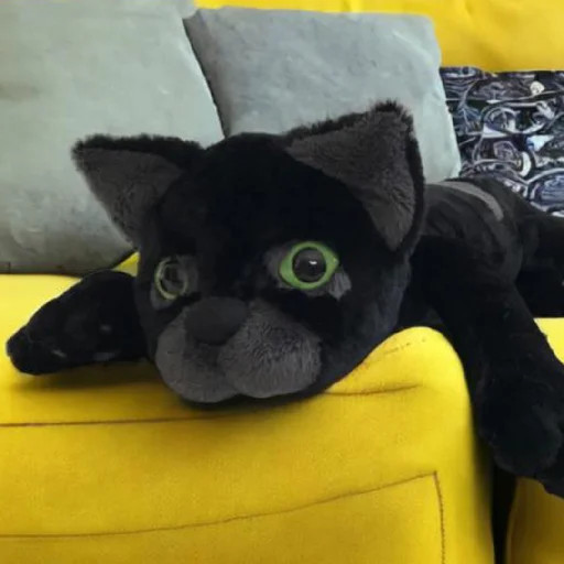 NIGHTPELT // By pamp - 