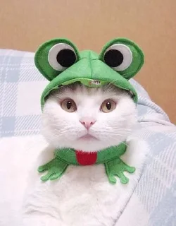 Sticker Больше стиков тут: @stikeryk - 11